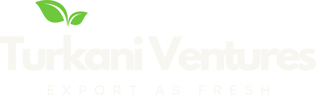 Turkani Ventures